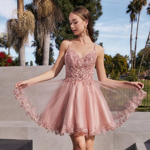 NEW SHORT OFF THE SHOULDER SLEEVELESS A-LINE DRESS WITH OPEN ZIPPER BACK CD0213 - Picture 1 of 9